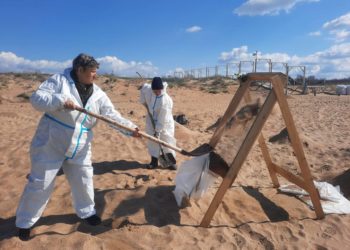 На Кубани собрали 154 тысячи тонн загрязненных мазутом песка, грунта и гальки