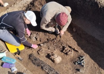 В Краснодаре нашли следы жизни древнейших людей