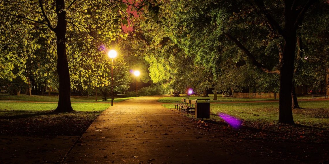 В Сочи в 12 раз увеличат площадь зеленых насаждений