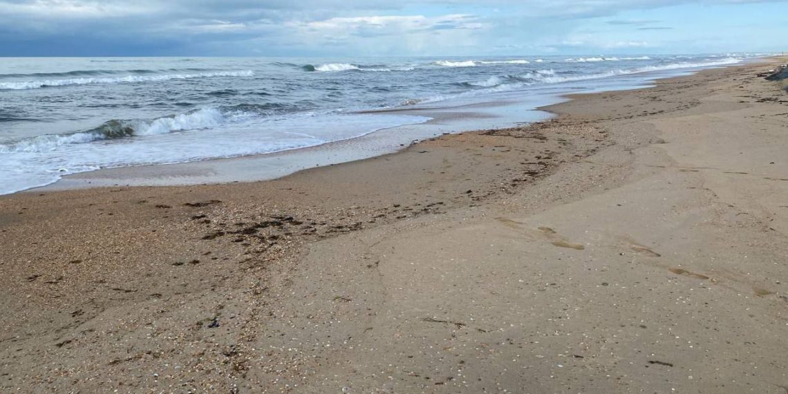 Новые выбросы мазута обнаружены на побережье Анапы в воскресенье 13 апреля