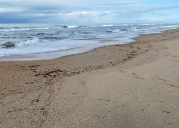 Новые выбросы мазута обнаружены на побережье Анапы в воскресенье 13 апреля