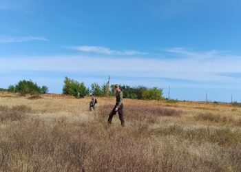 На Кубани прекращены поиски пропавшей 10 дней назад 17-летней девушки