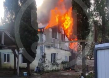 В Сочи из-за перегрызшего провода енота сгорел дом