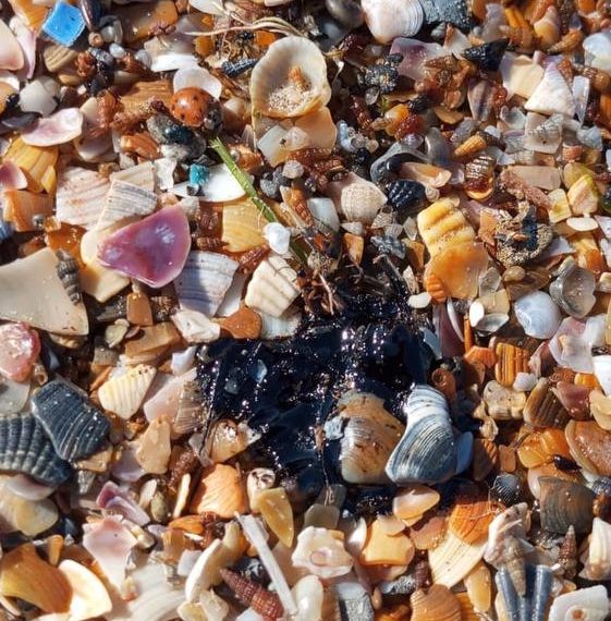 Новые пятна мазута обнаружены на побережье Анапы