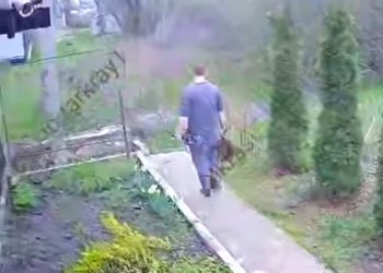 В Краснодаре мужчина застрелил фазана в черте города