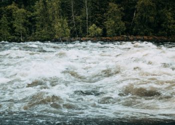 В Сочи расчистят русла семи рек до конца 2025 года от возможных заторов