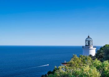 Морские рейсы вернутся: Анапу, Геленджик и Сочи свяжет «Комета»