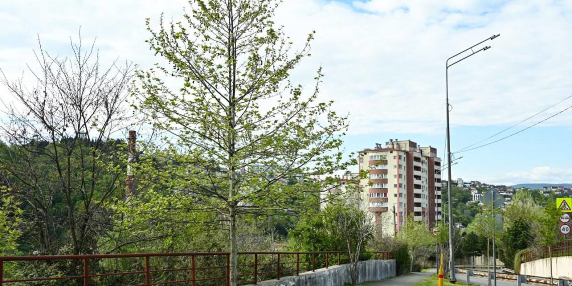 В Хостинском районе Сочи построят школу на 800 мест