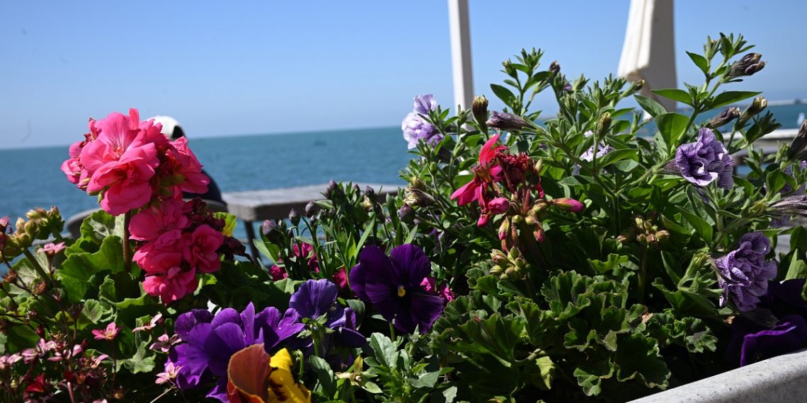 После ливней — в жару: синоптик рассказал о погоде в майские праздники на Кубани