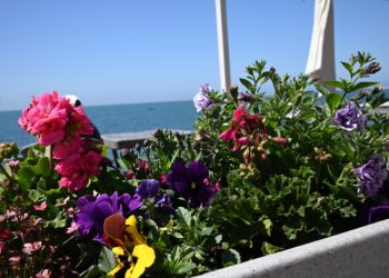 После ливней — в жару: синоптик рассказал о погоде в майские праздники на Кубани