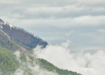 В Сочи и Сириусе ожидается туман 1 апреля