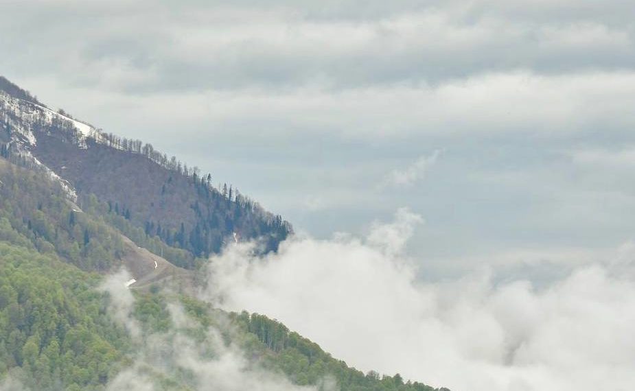 В Сочи и Сириусе ожидается туман 1 апреля