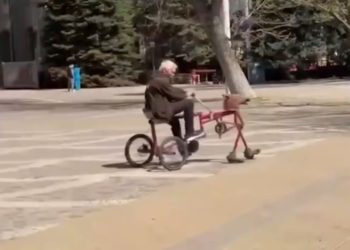 В Краснодаре сняли на видео «велоконя»