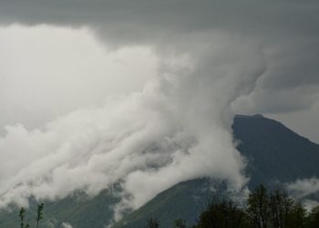 Туман и волнение моря: Сочи и Сириус готовятся к сложным погодным условиям