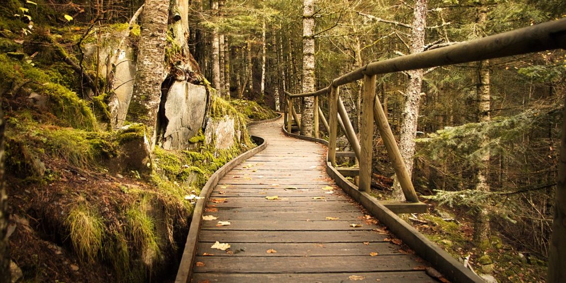 В Сочи создадут 15-километровый экомаршрут от центра до Мацесты