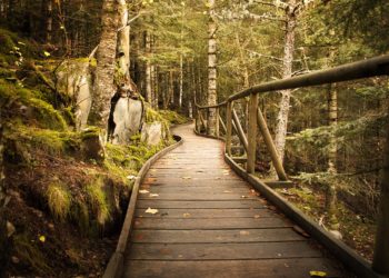 В Сочи создадут 15-километровый экомаршрут от центра до Мацесты