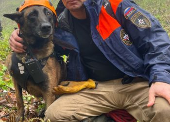 В Сочи собака обнаружила тело пропавшего мужчины в горном ручье