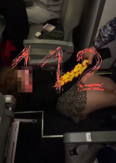 Даму в леопардовом под аплодисменты выволокли из самолета Сочи — Санкт-Петербург