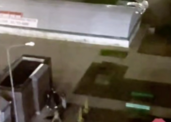 Пьяная драка в Краснодаре: участников конфликта назвали «ветеранами алковойн»