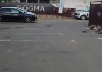 Крысы атакуют Краснодар: чем опасны грызуны и какие болезни они разносят?