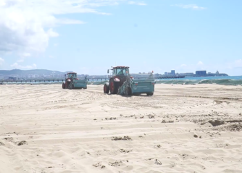 Николай Заливин об очистке пляжей Анапы: Думаю, что в июне будет конечная стадия