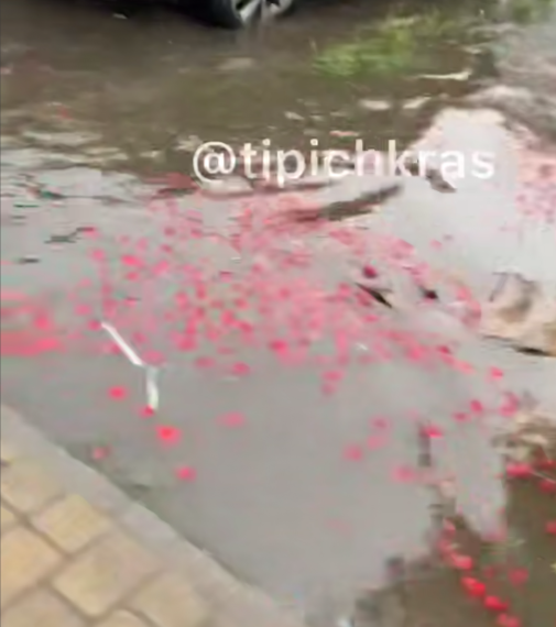 Мощный дождь смыл торговую точку с клубникой в Краснодаре