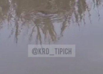 Фекальный потоп в Краснодаре: жители оказались в зоне экологического бедствия