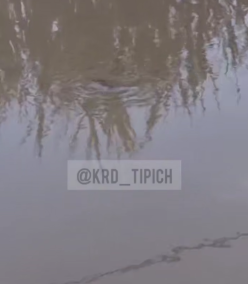 Фекальный потоп в Краснодаре: жители оказались в зоне экологического бедствия