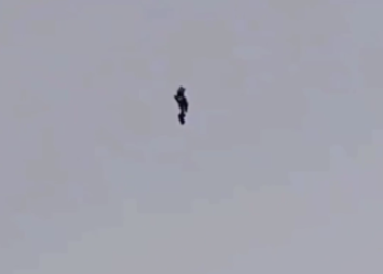 В Краснодаре человек парил в воздухе без каких-либо устройств