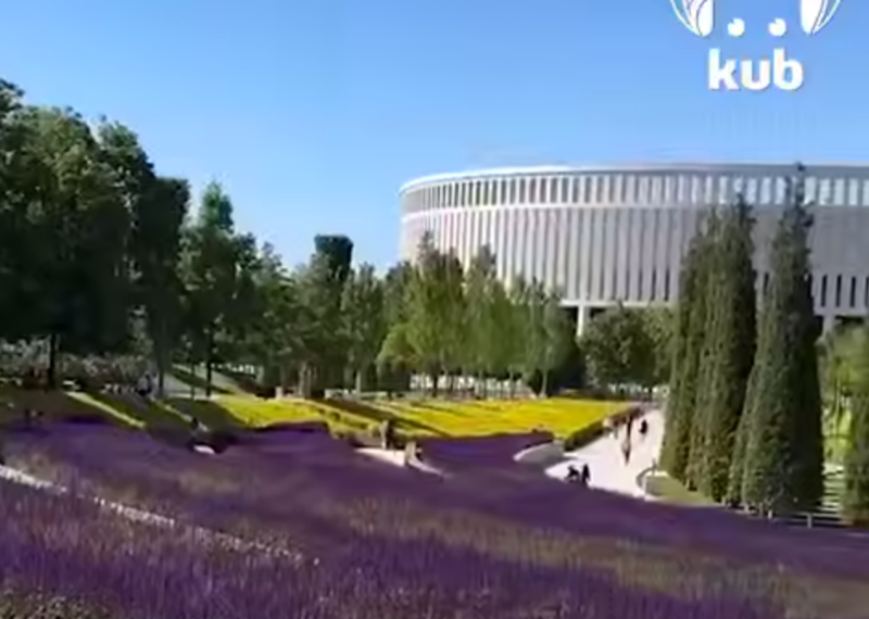 Отличный повод для фото: в Краснодаре в парке Галицкого расцвел дубравный шалфей