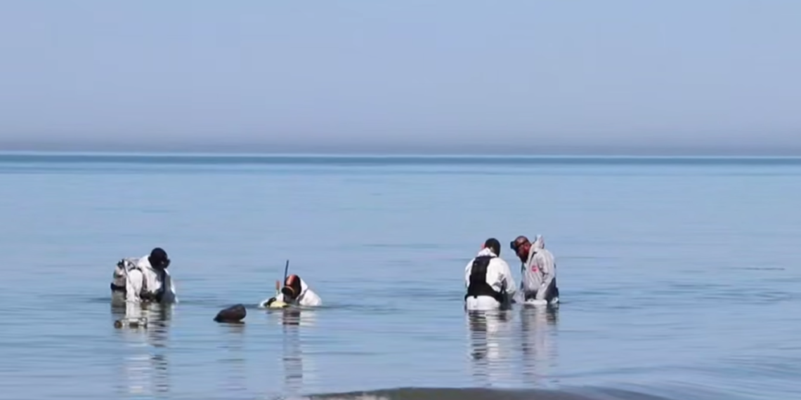 В Анапе за день со дна подняли 88 мешков загрязненного грунта