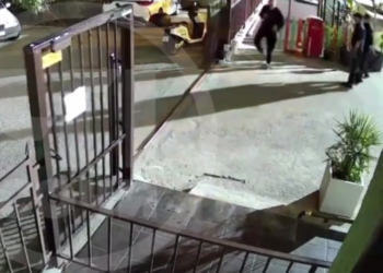 Рядом с Сочи «кенгуру» пытался ускакать от полиции на одной ноге