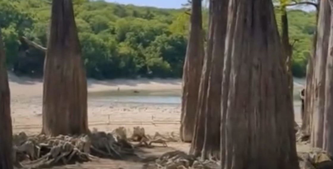 Засуха в Краснодарском крае: пересохли озера с лотосами и кипарисами