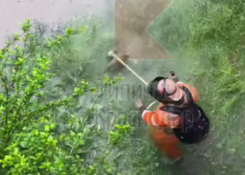 Косильщик-амфибия вышел на тропу войны с травой после ливня в Краснодаре