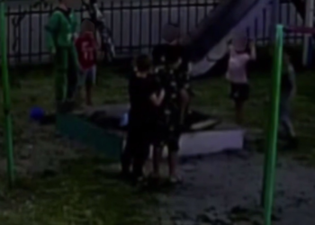 В Краснодаре мальчика избили за случайную гибель ящерицы