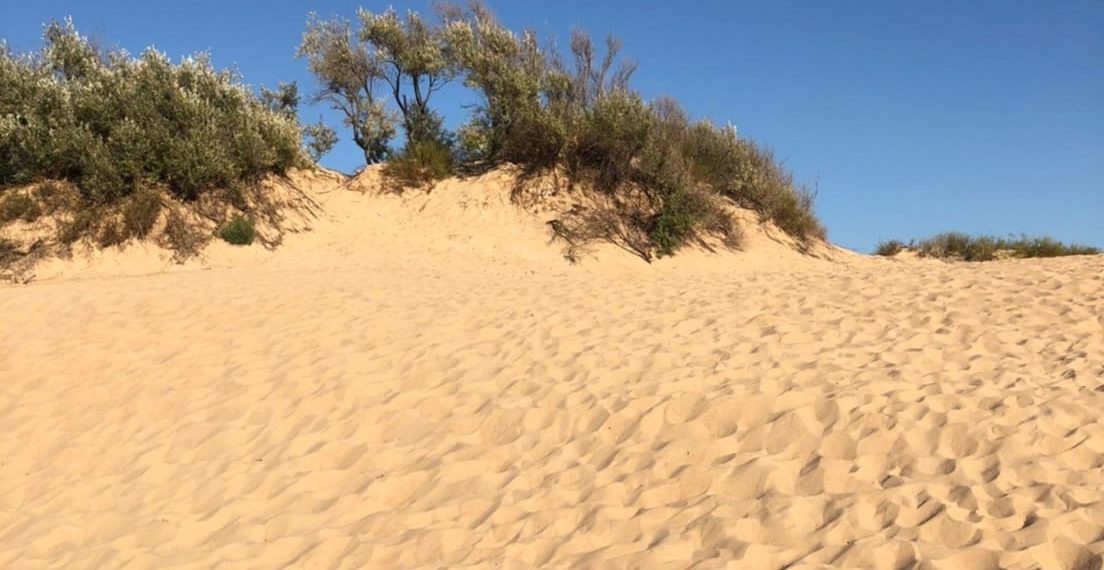 Парк «Анапская пересыпь» закрыли для свободного посещения