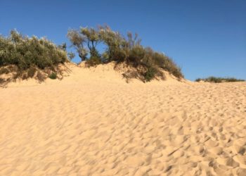 Парк «Анапская пересыпь» закрыли для свободного посещения