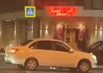 В Краснодаре спасли бегавшего по дороге ежа