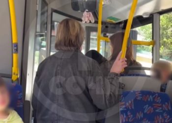 В Сочи девушка с собакой без намордника пинала дверь в автобусе