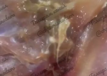 В Краснодаре мужчина торговал рыбой с живыми червями