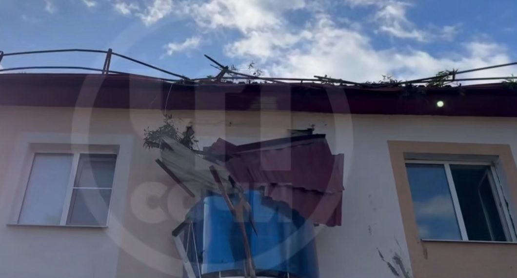 В Сириусе упавший эвкалипт разрушил балкон и заблокировал подъезд