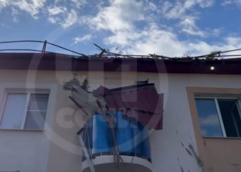 В Сириусе упавший эвкалипт разрушил балкон и заблокировал подъезд