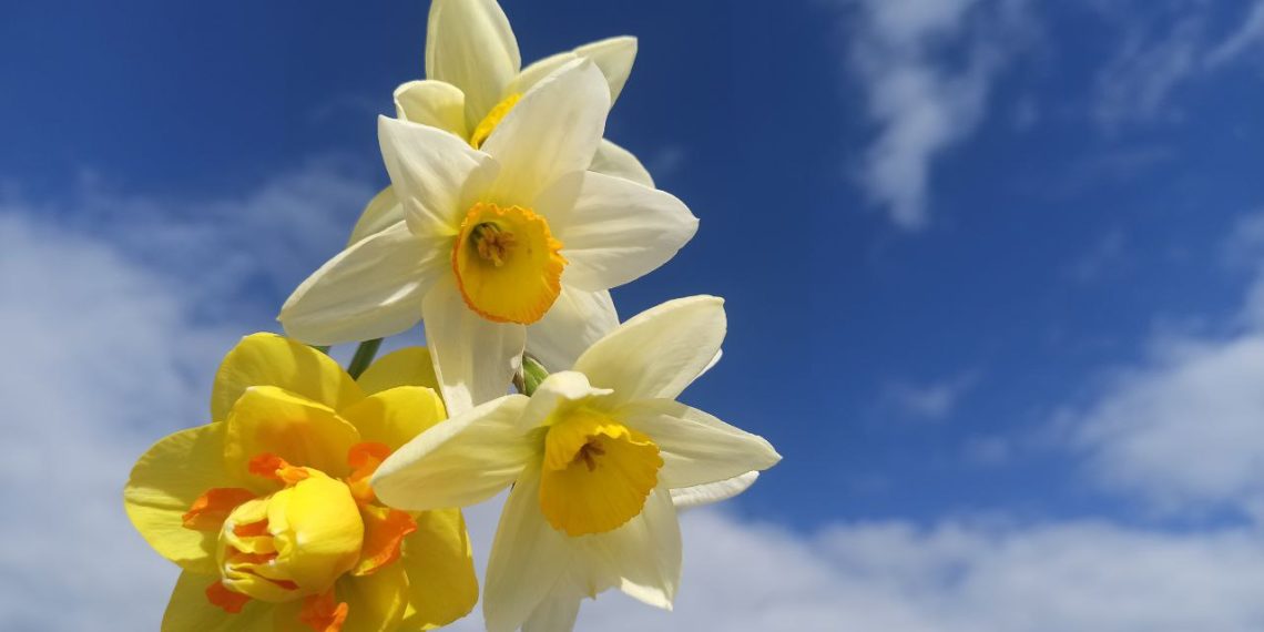 Шувалов: погоду на Кубани в праздничные дни будет отличать нестабильность