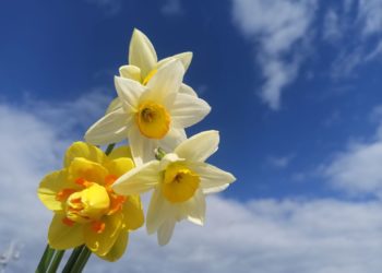 Шувалов: погоду на Кубани в праздничные дни будет отличать нестабильность