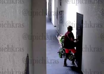 В Краснодаре оставленная в квартире овчарка четыре дня не дает спать жильцам