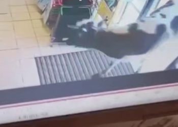 В магазин под Краснодаром зашла корова