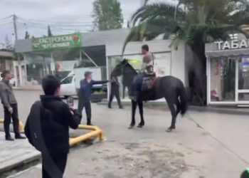 В Сочи неадекватный мужчина пытался устроить дрифт на лошади
