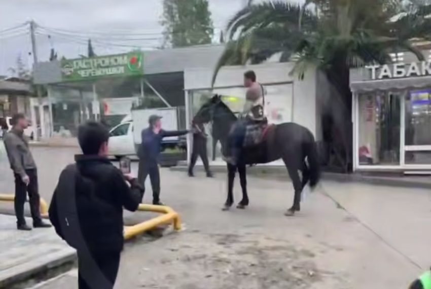 В Сочи неадекватный мужчина пытался устроить дрифт на лошади