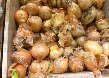 Жители Краснодара возмущены ценами на лук и картофель в мае 2025 года