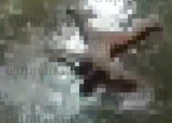 В Краснодаре голый мужчина купался в луже